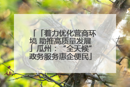 「着力优化营商环境 助推高质量发展」瓜州：“全天候”政务服务惠企便民
