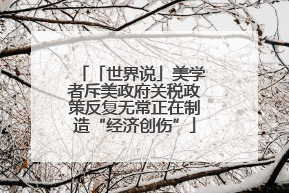 「世界说」美学者斥美政府关税政策反复无常正在制造“经济创伤”