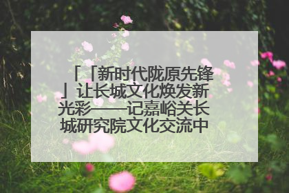 「新时代陇原先锋」让长城文化焕发新光彩——记嘉峪关长城研究院文化交流中心干部张晓燕