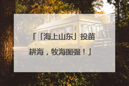 「海上山东」投苗耕海，牧海图强！