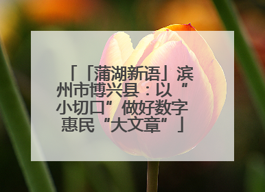 「蒲湖新语」滨州市博兴县：以“小切口”做好数字惠民“大文章”