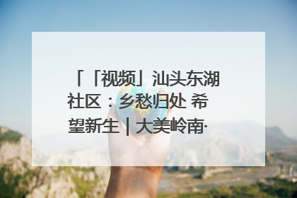 「视频」汕头东湖社区：乡愁归处 希望新生｜大美岭南·百村焕新记