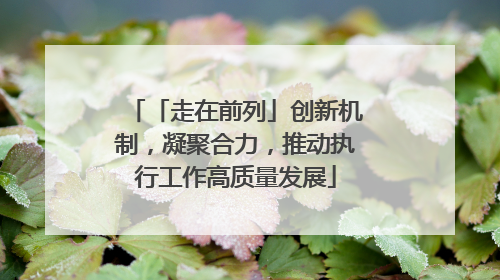 「走在前列」创新机制，凝聚合力，推动执行工作高质量发展