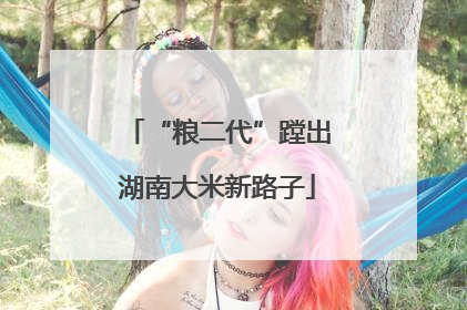 “粮二代”蹚出湖南大米新路子