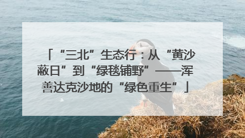 “三北”生态行：从“黄沙蔽日”到“绿毯铺野”——浑善达克沙地的“绿色重生”