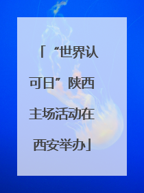 “世界认可日”陕西主场活动在西安举办