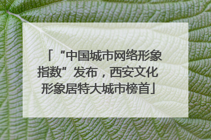“中国城市网络形象指数”发布，西安文化形象居特大城市榜首