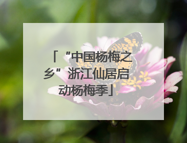 “中国杨梅之乡”浙江仙居启动杨梅季