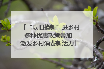 “以旧换新”进乡村 多种优惠政策叠加 激发乡村消费新活力