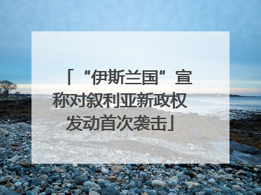 “伊斯兰国”宣称对叙利亚新政权发动首次袭击