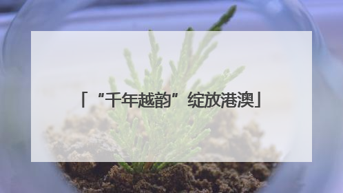 “千年越韵”绽放港澳