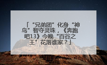“兄弟团”化身“神鸟”智夺灵珠，《奔跑吧13》今晚“百谷之王”花落谁家？