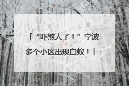 “吓煞人了！”宁波多个小区出现白蚁！