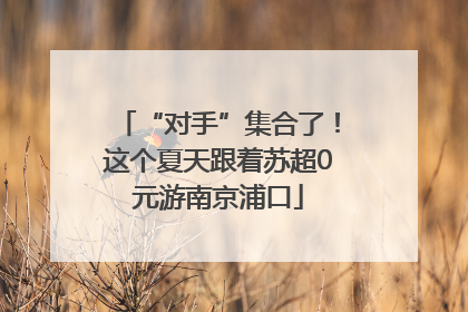 “对手”集合了！这个夏天跟着苏超0元游南京浦口
