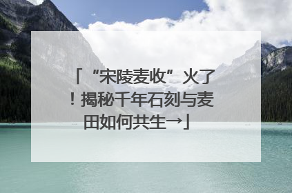 “宋陵麦收”火了！揭秘千年石刻与麦田如何共生→