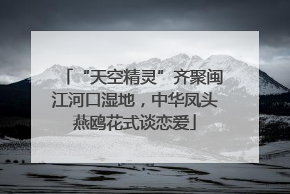 “天空精灵”齐聚闽江河口湿地，中华凤头燕鸥花式谈恋爱