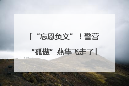 “忘恩负义”！警营“孤傲”燕隼飞走了