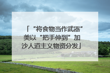 “将食物当作武器” 美以“把手伸到”加沙人道主义物资分发