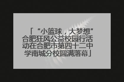 “小篮球，大梦想”合肥狂风公益校园行活动在合肥市第四十二中学南城分校圆满落幕