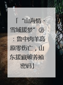 “山海情・雪域援梦”②：鲁中肉羊高原零伤亡，山东援藏破养殖密码