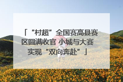 “村超”全国赛高县赛区圆满收官 小城与大赛实现“双向奔赴”