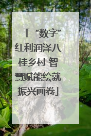 “数字”红利润泽八桂乡村 智慧赋能绘就振兴画卷