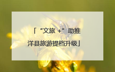 “文旅 +”助推洋县旅游提档升级