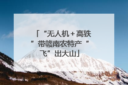 “无人机＋高铁”带赣南农特产“飞”出大山