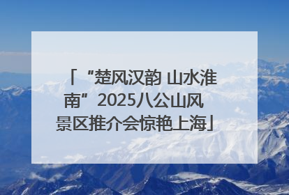 “楚风汉韵 山水淮南”2025八公山风景区推介会惊艳上海