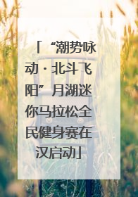 “潮势咏动・北斗飞阳”月湖迷你马拉松全民健身赛在汉启动