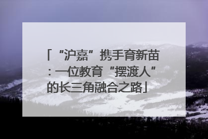 “沪嘉”携手育新苗：一位教育“摆渡人”的长三角融合之路