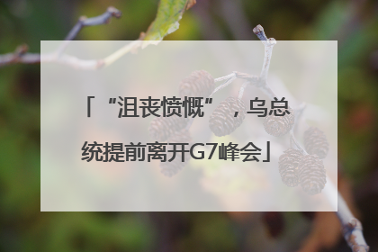 “沮丧愤慨”，乌总统提前离开G7峰会