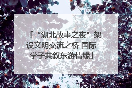 “湖北故事之夜”架设文明交流之桥 国际学子共叙东游情缘