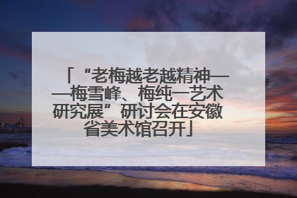 “老梅越老越精神——梅雪峰、梅纯一艺术研究展”研讨会在安徽省美术馆召开