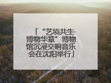 “艺境共生·博物华章”博物馆沉浸交响音乐会在沈阳举行