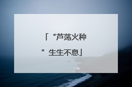 “芦荡火种”生生不息