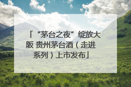 “茅台之夜”绽放大阪 贵州茅台酒（走进系列）上市发布