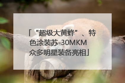 “超级大黄蜂”、特色涂装苏-30MKM 众多明星装备亮相