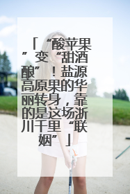 “酸苹果”变“甜酒酿”！盐源高原果的华丽转身，靠的是这场浙川千里“联姻”