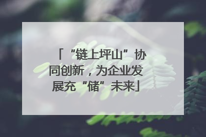 “链上坪山”协同创新，为企业发展充“储”未来