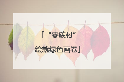“零碳村” 绘就绿色画卷