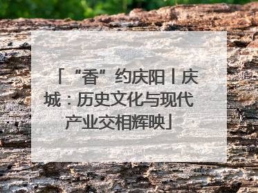 “香”约庆阳丨庆城：历史文化与现代产业交相辉映