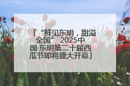 “鲜见东明，甜溢全国” 2025中国·东明第二十届西瓜节即将盛大开幕