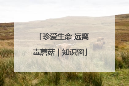 珍爱生命 远离毒蘑菇｜知识窗