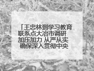 王忠林到学习教育联系点大冶市调研 加压加力 从严从实 确保深入贯彻中央八项规定精神学习教育取得实效