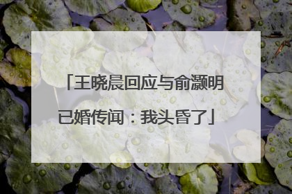 王晓晨回应与俞灏明已婚传闻：我头昏了