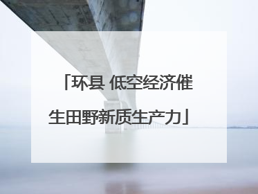 环县 低空经济催生田野新质生产力