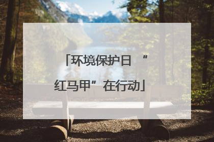 环境保护日 “红马甲”在行动
