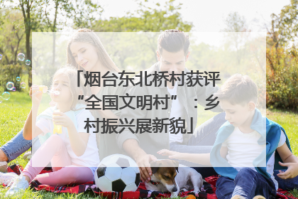 烟台东北桥村获评“全国文明村”：乡村振兴展新貌