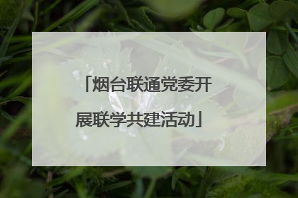 烟台联通党委开展联学共建活动